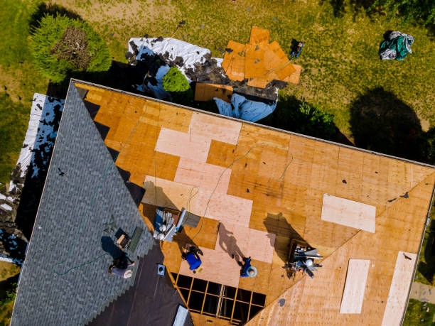 Best Storm Damage Roof Repair  in Anderson, MO