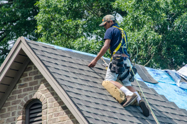 Gutter Installation and Roofing in Anderson, MO